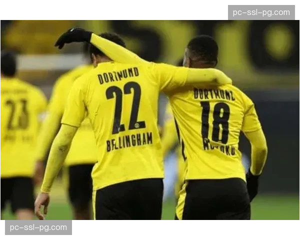 多特蒙德主席瓦茨克怒斥欧足联站席新规为“纯粹的官僚主义”